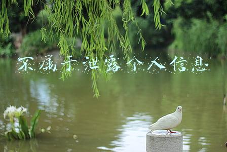 不属于泄露个人信息