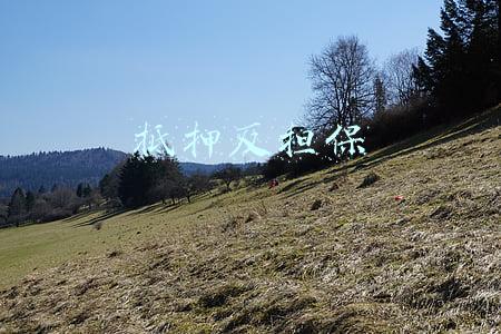 抵押反担保
