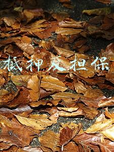 抵押反担保