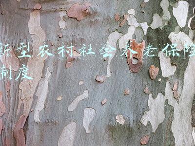 新型农村社会养老保险制度