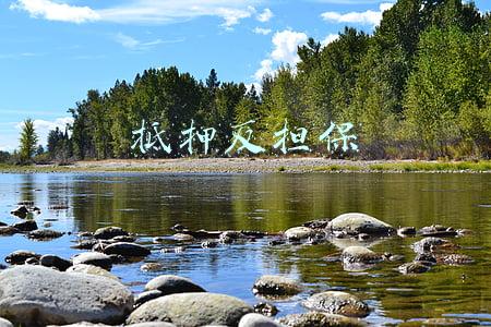 抵押反担保