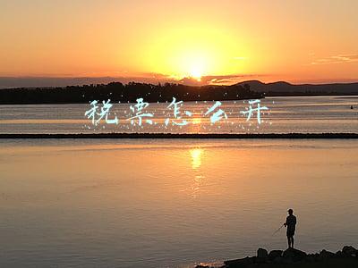 税票怎么开