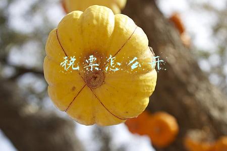 税票怎么开