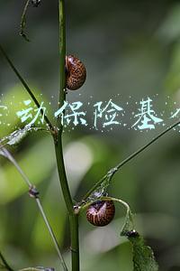 劳动保险基金项(人社部公布《社会保险基金行政监督办法》 虚构劳动关系参保骗保要查处)