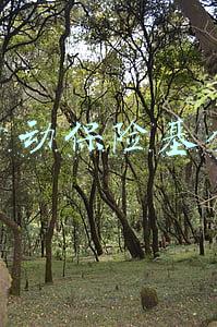 劳动保险基金