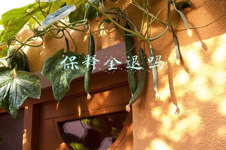警察局保释金退吗(取保候审保证金交多少，怎么交，怎么退)