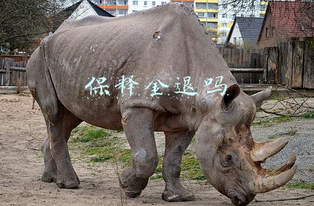 保释金退吗
