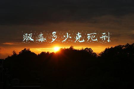 贩毒多少克死刑立即执行(一般贩毒多少克以上死刑)