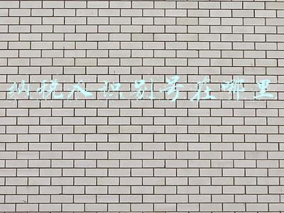 纳税人识别号在哪里填写(纳税人识别号是什么？)