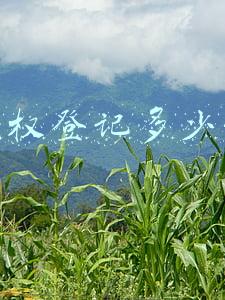 版权登记多少钱