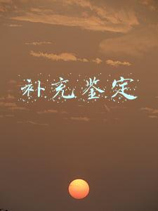 补充鉴定