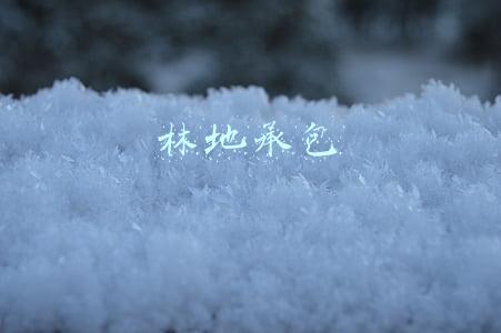 林地承包