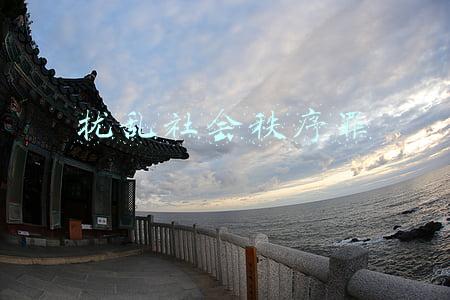 扰乱社会秩序罪
