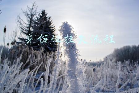 身份证挂失流程