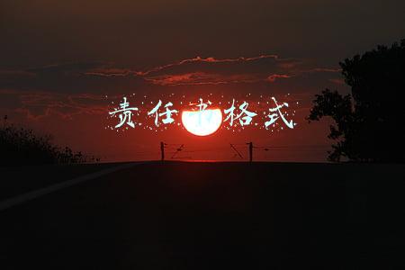 责任书格式