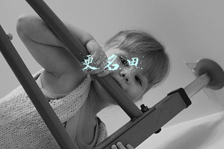 更名田
