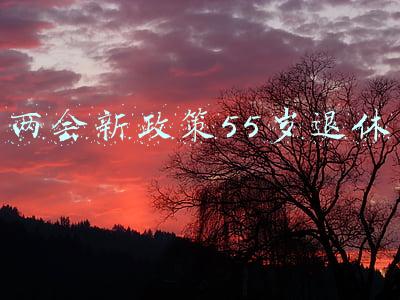 两会新政策55岁退休