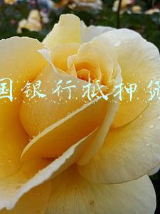 中国银行抵押贷款利率是多少(房屋抵押贷款的利率一般是多少？)