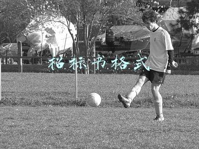 招标书格式