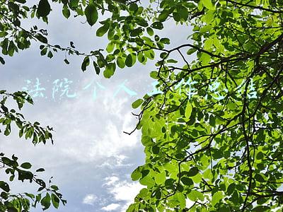 法院个人工作总结