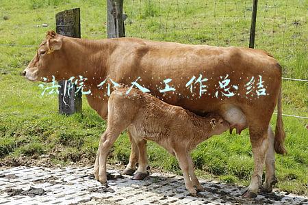 法院个人工作总结