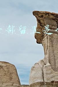 领导干部留置是什么意思