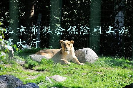 北京市社会保险网上办事大厅