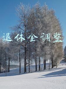 退休金调整怎么算(定了！2022年退休人员基本养老金上调4%)