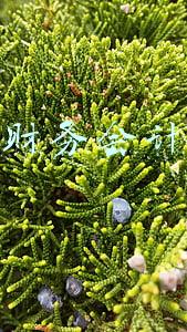 年度财务会计报告保管期限为(塔木德金融服务：集团公司财务管理（八）财务档案管理制度)