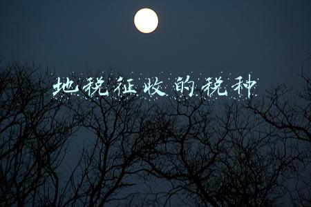 地税征收的税种