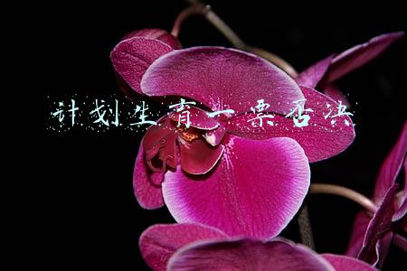 计划生育一票否决制取消了吗(委员建议取消计生“一票否决”等制度，宁德卫健委：无权废止)