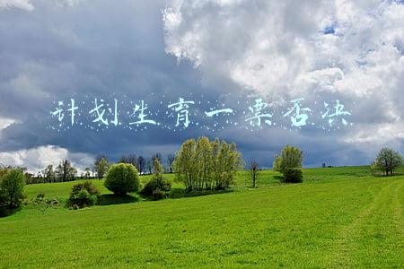 计划生育一票否决
