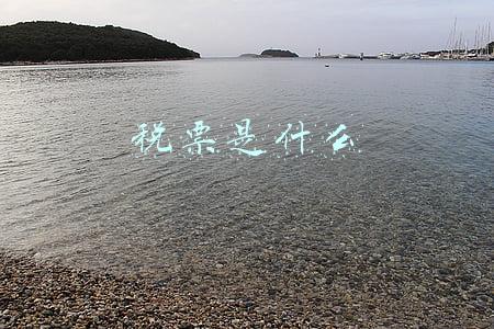 税票是什么
