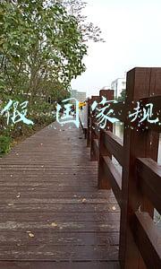 婚假国家规定放几天(婚姻法规定一般婚假多少天)