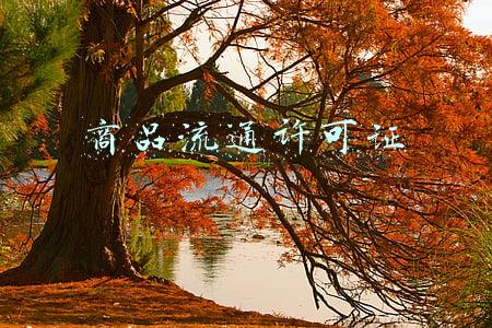 商品流通许可证