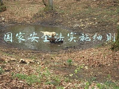 国家安全法实施细则