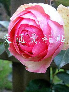 交通费补贴