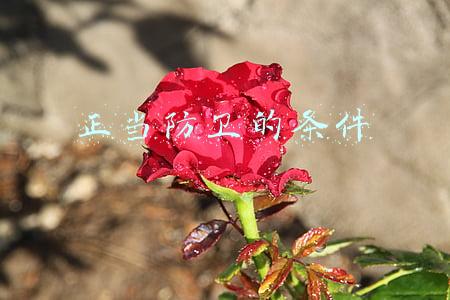 正当防卫的条件