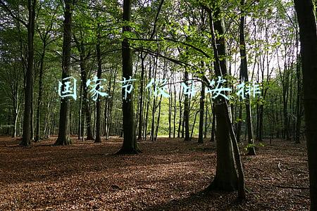 国家节假日安排