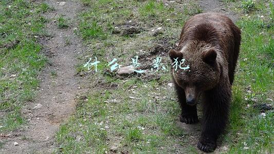 什么是累犯