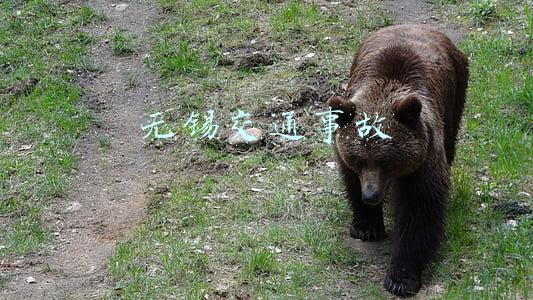 无锡交通事故