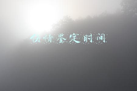 伤情鉴定时间