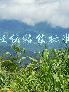 一级轻伤赔偿标准(被人故意伤害至轻伤，从刑事角度能获得哪些赔偿？)