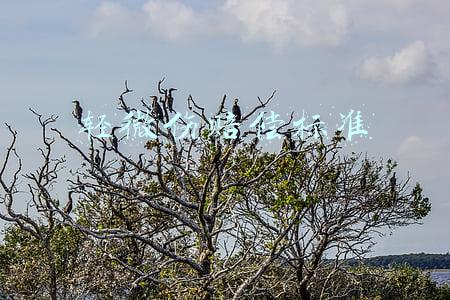 轻微伤赔偿标准