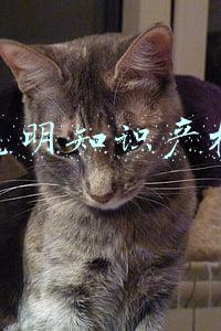 昆明知识产权