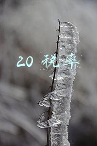 20 税率