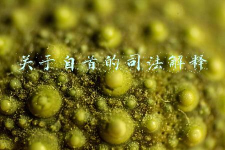 关于自首的司法解释