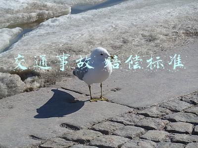 交通事故 赔偿标准