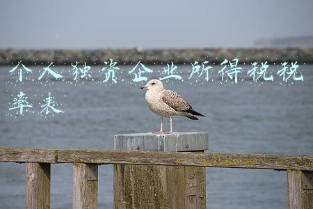 个人独资企业所得税税率表