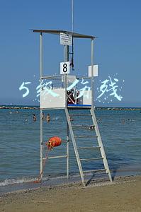 5级伤残